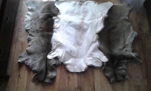 Roebuck Roe Deer Skin Pelt Fur Hide Area Rug Carpet Chair Seat Pad Warm Cushion - Picture 5 of 10