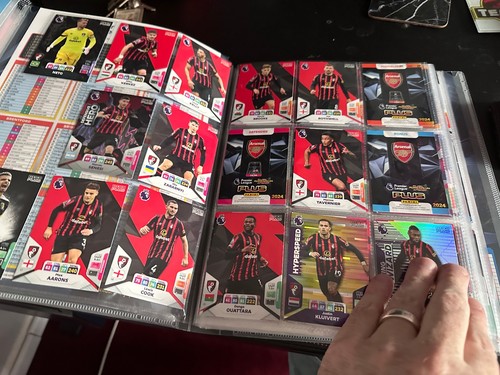Carpeta de tarjetas coleccionables Panini AdrenalynXl Plus 2024 con 363 tarjetas - sin engaños - Imagen 3 de 23