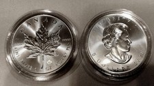 2x 1 Oz Silber 999 Maple Leaf 2018 Canada je 31,1 g 5 Dollar Elizabeth II 
