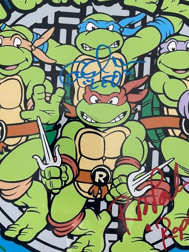 Teenage Mutant Ninja Turtles Cast signiert Foto gerahmt mattiert Display BAS JSA COA - Bild 4 von 11