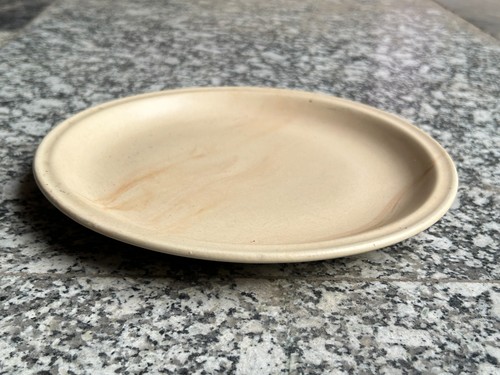 Plato para servir platos de palam de roble Hitkari antiguos raros de colección/plato de prueba coleccionable - Imagen 12 de 13