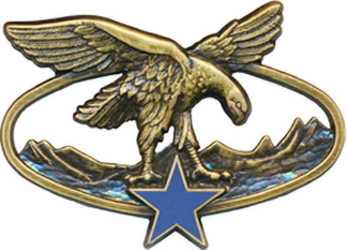 Brevet Spécialité Troupes de Montagne, bronze, dos lisse, Ballard 2465 (10087) - Picture 1 of 2