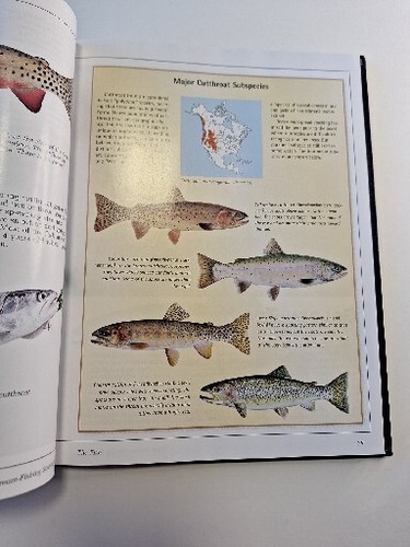 North American Fishing Club Trout Stream Fishing Strategies 1999 hardcover (w10) - Picture 14 of 16