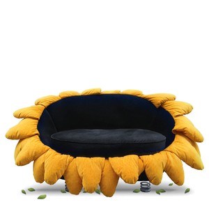 Details Zu Bretz Sofa Sunny Pool 2 Sitzer Blumenblüte Sonnenblume Cultsofa