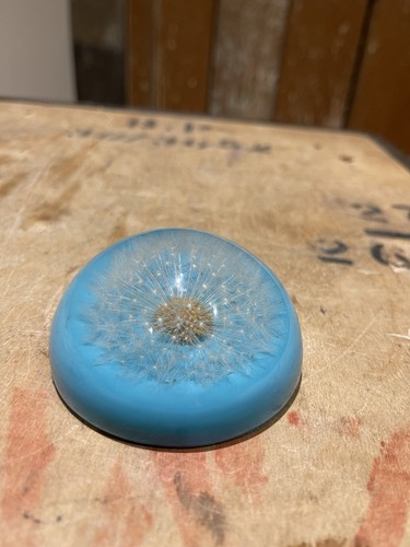 Pisapapeles Sarah Rogers diente de león azul con flores reales escritorio de oficina en casa - Imagen 2 de 9