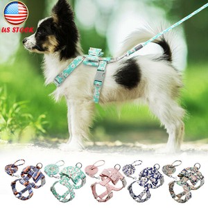 Dogs-Floral-Harness-and-Leash-Set-Pet-Puppy-Vest-Collar-For-Chihuahua-Schnauzer
