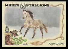 2019 Topps Allen & Ginter Mares and Stallions Andalusian Horse #MS-9  (A)