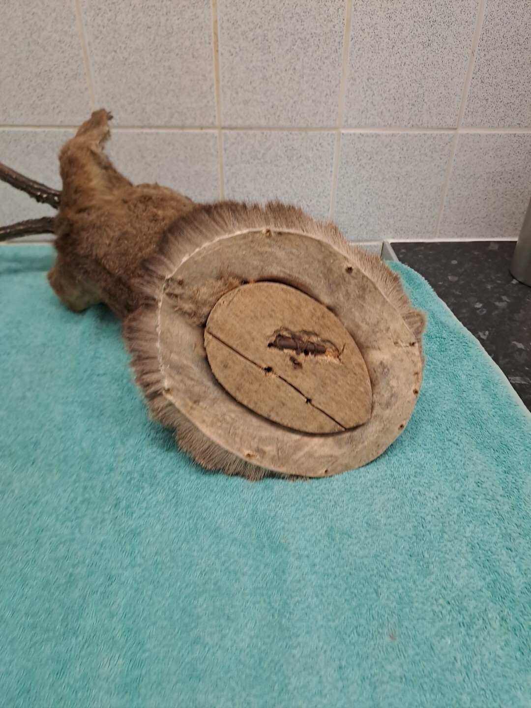 Picture 10 of 22