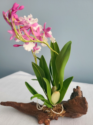 Orchidee falena legno alla deriva fatte a mano fiore bianco rosa verde ornamento 9" x 8" - Foto 13 di 18