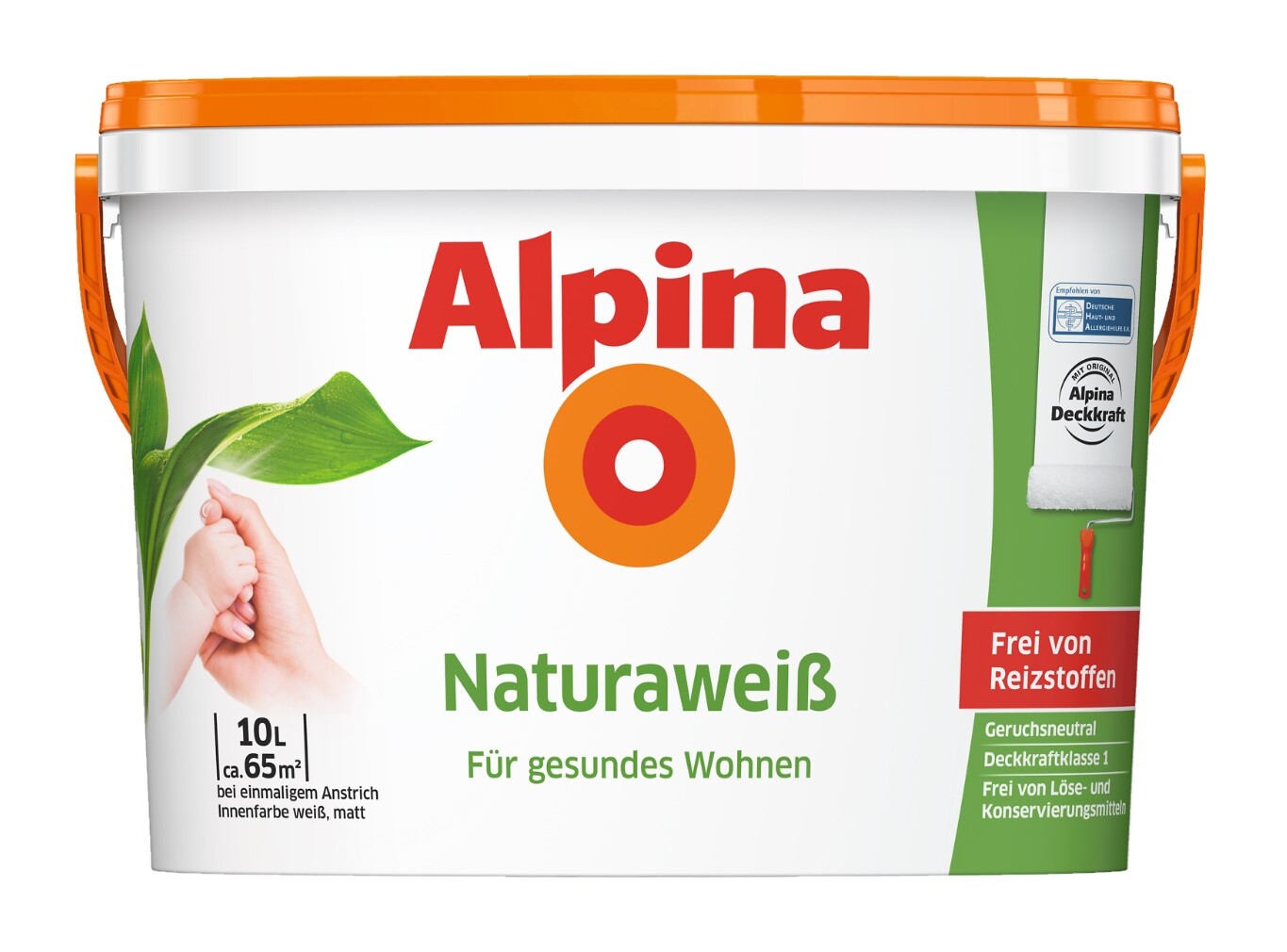Bild 8 von 8