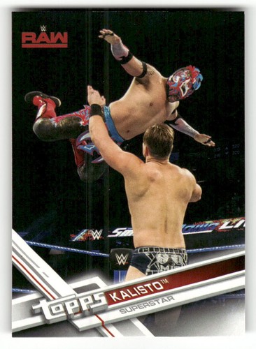 2017 Topps WWE Then Now Forever Wrestling Card Pick (Base) - Picture 24 of 92