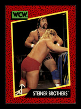 1991 Impel WCW Wrestling Base #1-160 ~ Choose Your Card