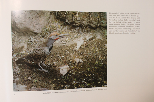 MOMENTS OF DISCOVERY Eliot Porter, M. Harwood HC DJ 1988 Arch Cape Press, NF-/VG - Imagen 17 de 21