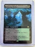Festering Thicket #0041 Extended Art Non-Foil Edge of Eternities NM ENG MTG