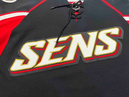 Reebok Premier Ottawa Senators SENS NHL Hockey Jersey Adult L Black Sewn blank - Picture 2 of 10
