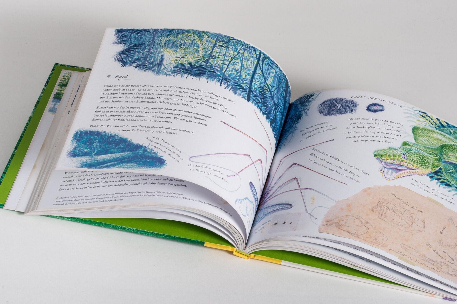 Teddy Keen ~ Die Suche nach dem rätselhaften Fluss 9783791375151