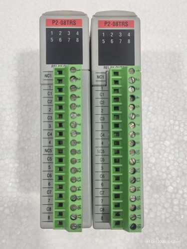 AutomationDirect P2-08TRS 120VAC/30VDC, 4A/pt. MÓDULO DE SALIDA RELÉ Vender Lote 2 - Imagen 3 de 8