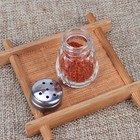 10Pcs Household Condiment Bottles Glass Pepper Shakers BBQ Spice Containers