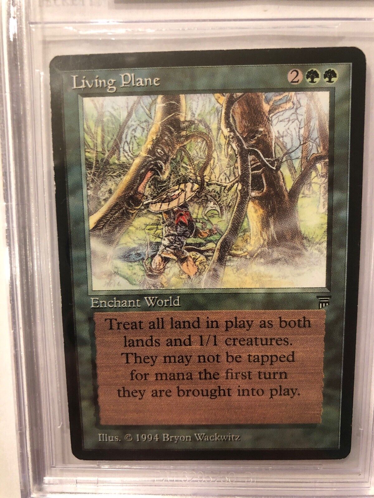 Living Plane MtG Legends ENGLISH PLAYED 海外 即決 スキル、知識 ...