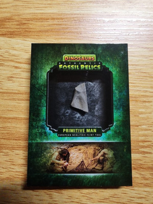 2015 Upper Deck UD Dinosaurs Fossil Relics European Neolithic Flint Tool RARE