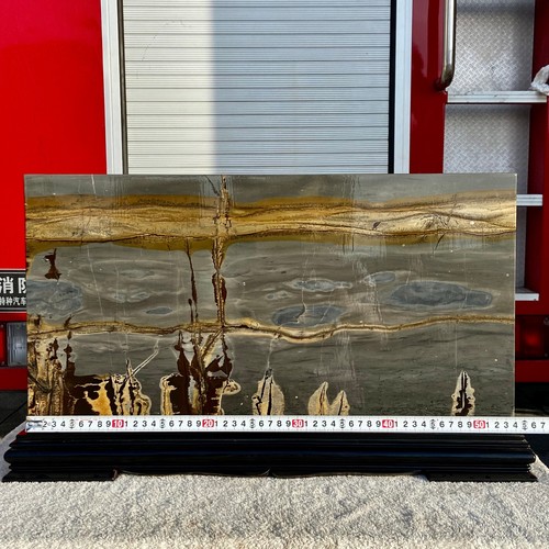 32.1LB Beautiful Natural Chinese Dendritic Limestone Picture Stone Guohua - Rare - 第 3/16 張圖片