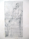 Foto 2 di 9