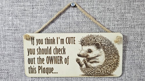 Hedgehogs Decorative Sign With Cute / Funny Quote | Hanging Wall | Desk Plaque - Picture 5 of 5