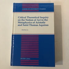 Critical Theoretical Inquiry (American University Studies) by Matthias Lu