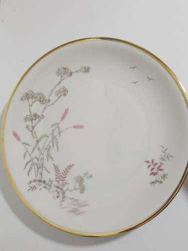 Juego de 6 tazas y platillos de té con patas Johann Haviland Baviera Alemania 18 paces - Imagen 7 de 10