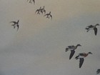 Foto 4 di 10