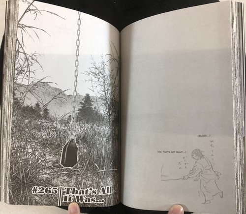 Vagabond Vol. 30; Inoue, Takehiko; 2009; E-36 - Picture 8 of 13