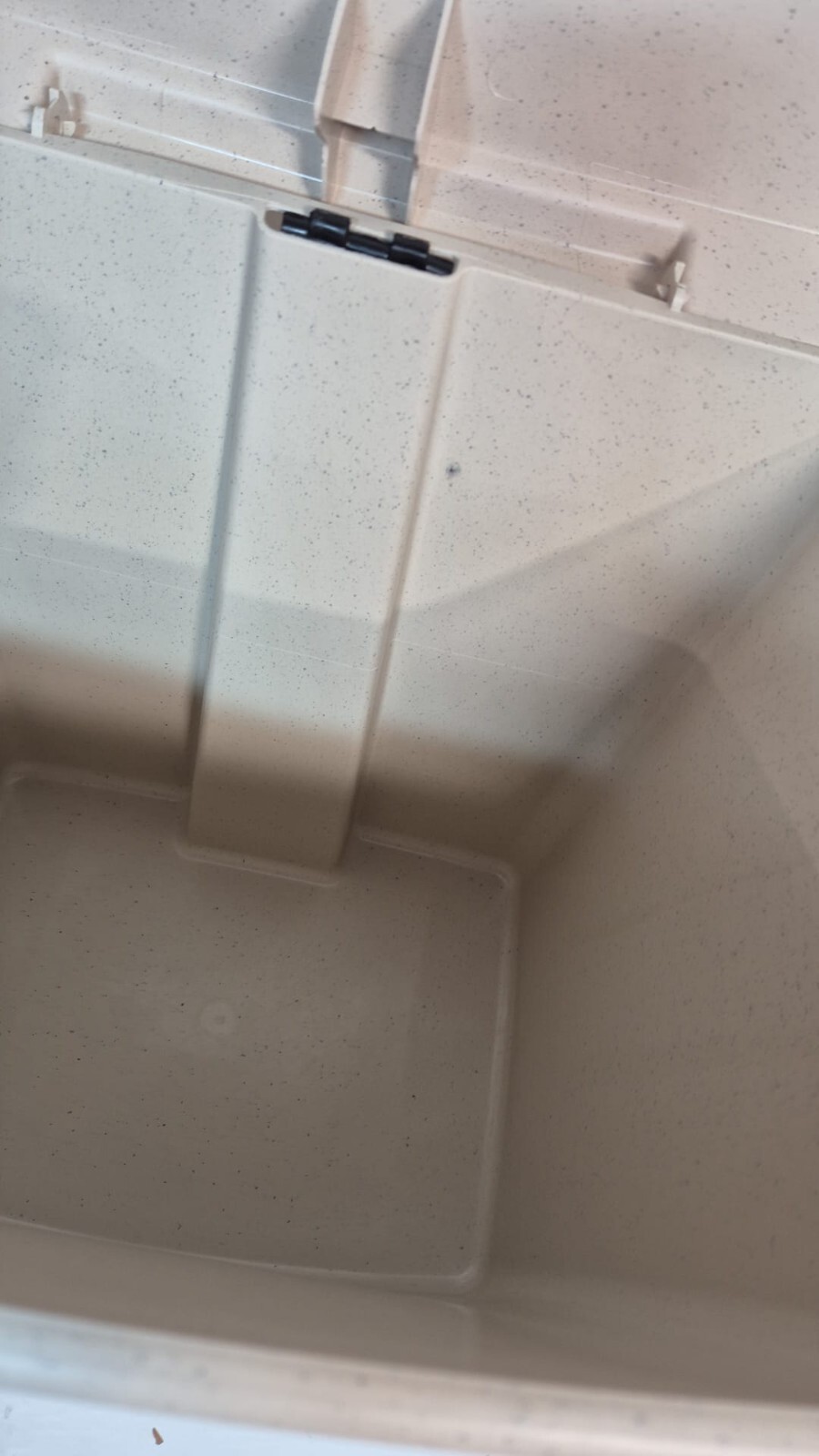 Picture 6 of 11