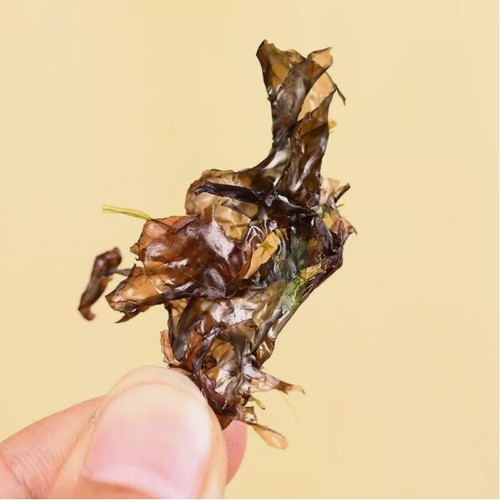 Laver Nori Porphyra chinesische lila aromatisierte geröstete Algen zum Kochen von Zicai 紫菜 - Bild 4 von 8