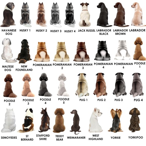 Make Lives Whole Dog Romantic Gift For Him or Her Personalised Couple Print - Picture 8 of 12