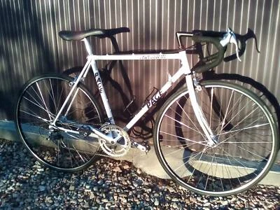 gumtree racing bike