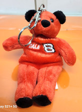 TEAM SALVINO'S RACING DALE EARNHARDT JR. 8 KEYCHAIN PLUSH NOS TUSH TAG