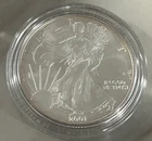 2001 Silver AMERICAN EAGLE One Dollar Coin w/ COA & Original Gift Box