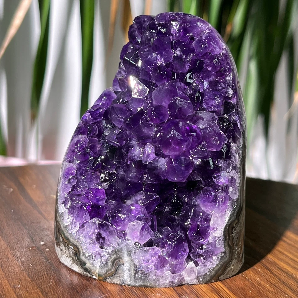 477G Natürlicher hochwertiger Amethyst Quarz Höhle geschliffen Kristall Präparat