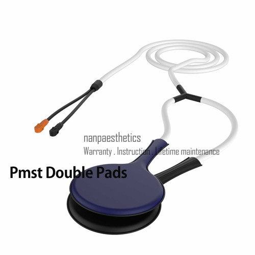 Máquina de terapia magnética para lesiones por dolor de caballo con tratamiento PEMF equino con bucle veterinario PMST - Imagen 26 de 40