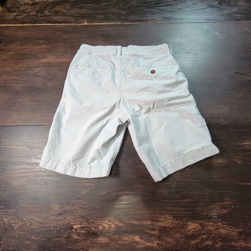 Pantalones Cortos American Eagle Next Level Flex Para Hombre Gris Clásico Caqui Talla 28 - Imagen 2 de 10
