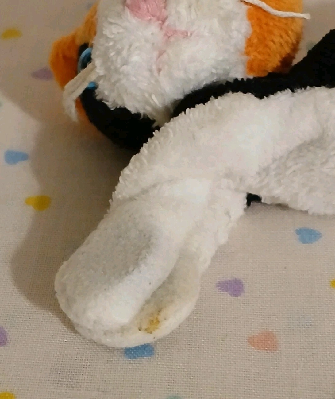 Picture 5 of 7