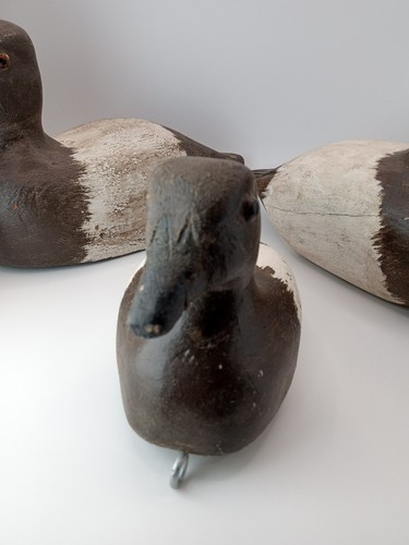 Vintage Primitive Hand Carved Canvasback Duck Decoys Family Set Of 3 Wooden - Picture 3 of 20