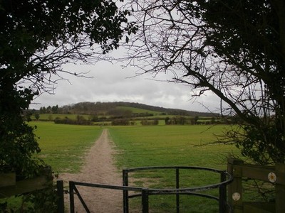 Photo A2 Ridgeway path leading to the Bledlow Circular Ride path Saunder c2011