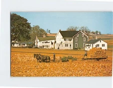 Postcard Amish Country Harvest Time Pennsylvania USA