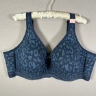 Foto 1 di 13