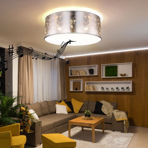 Plafoniera Con Bluetooth Altoparlante 40 CM Soggiorno Lampada Letto Argento - Foto 1 di 12