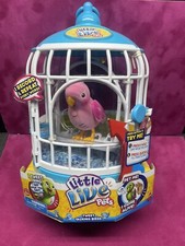 little live pets tweet talking birds pink  works/read 