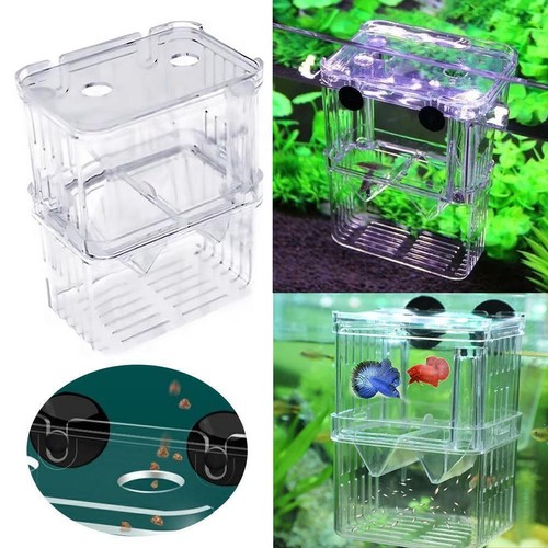 Aquarium Fish Tank Breeding Breeder Rearing Box Hatchery Isolation US S3S5 - Picture 2 of 15