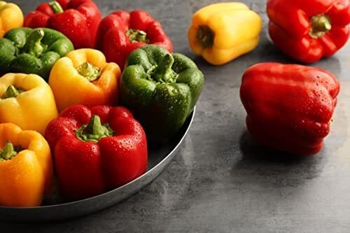Sweet Pepper Plants - 'Bellboy' - 4 x Large Plug Plant Pack - Picture 2 of 6