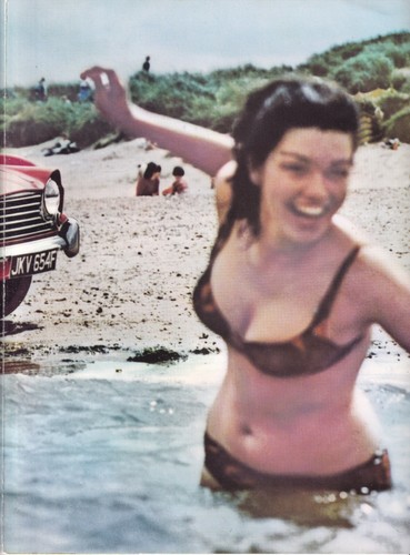 NEW TRIUMPH TR5/PI BROCHURE, 387/967/UK. - Picture 6 of 8